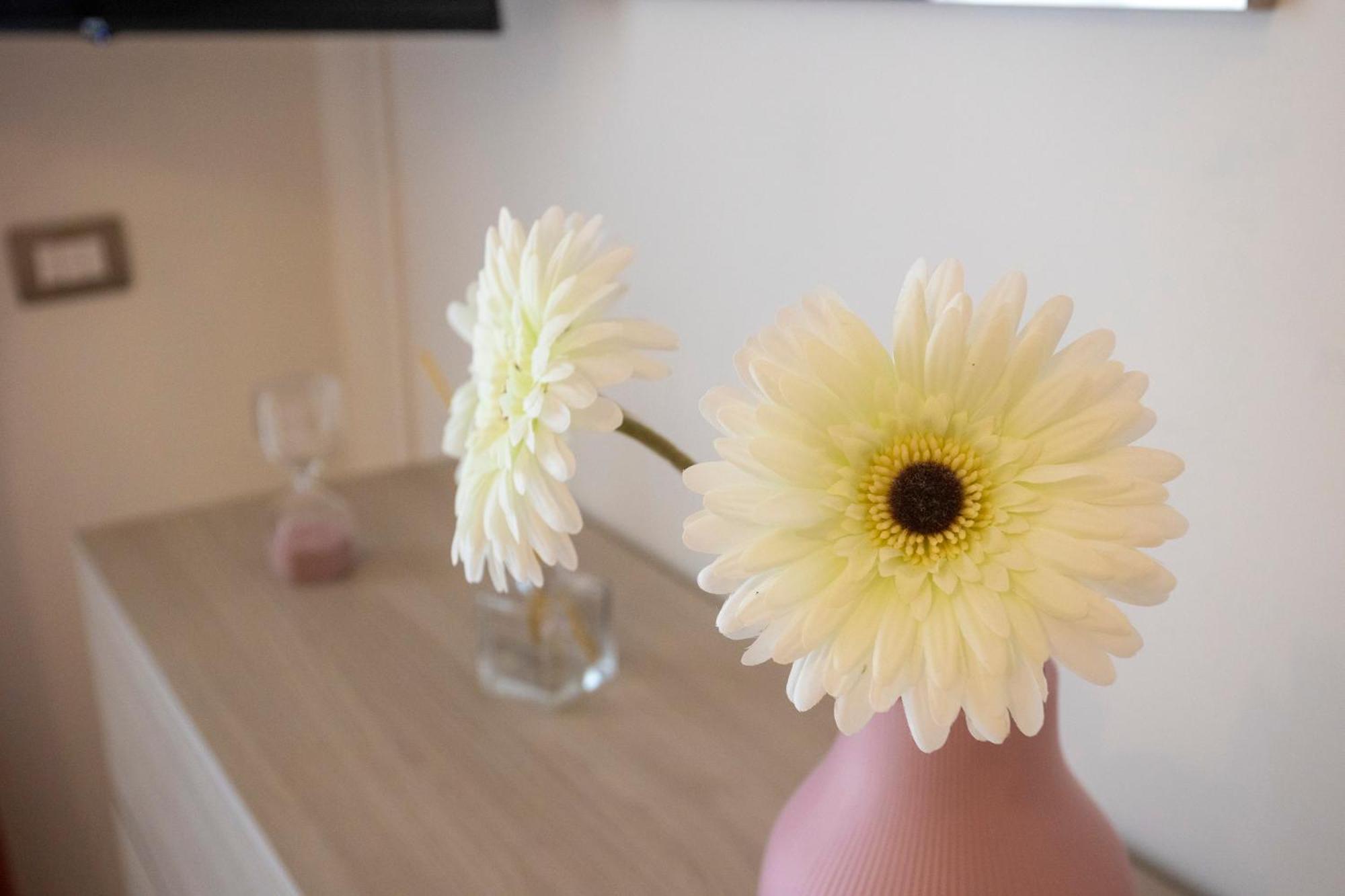 Emy House Sorrentoアパートメント エクステリア 写真